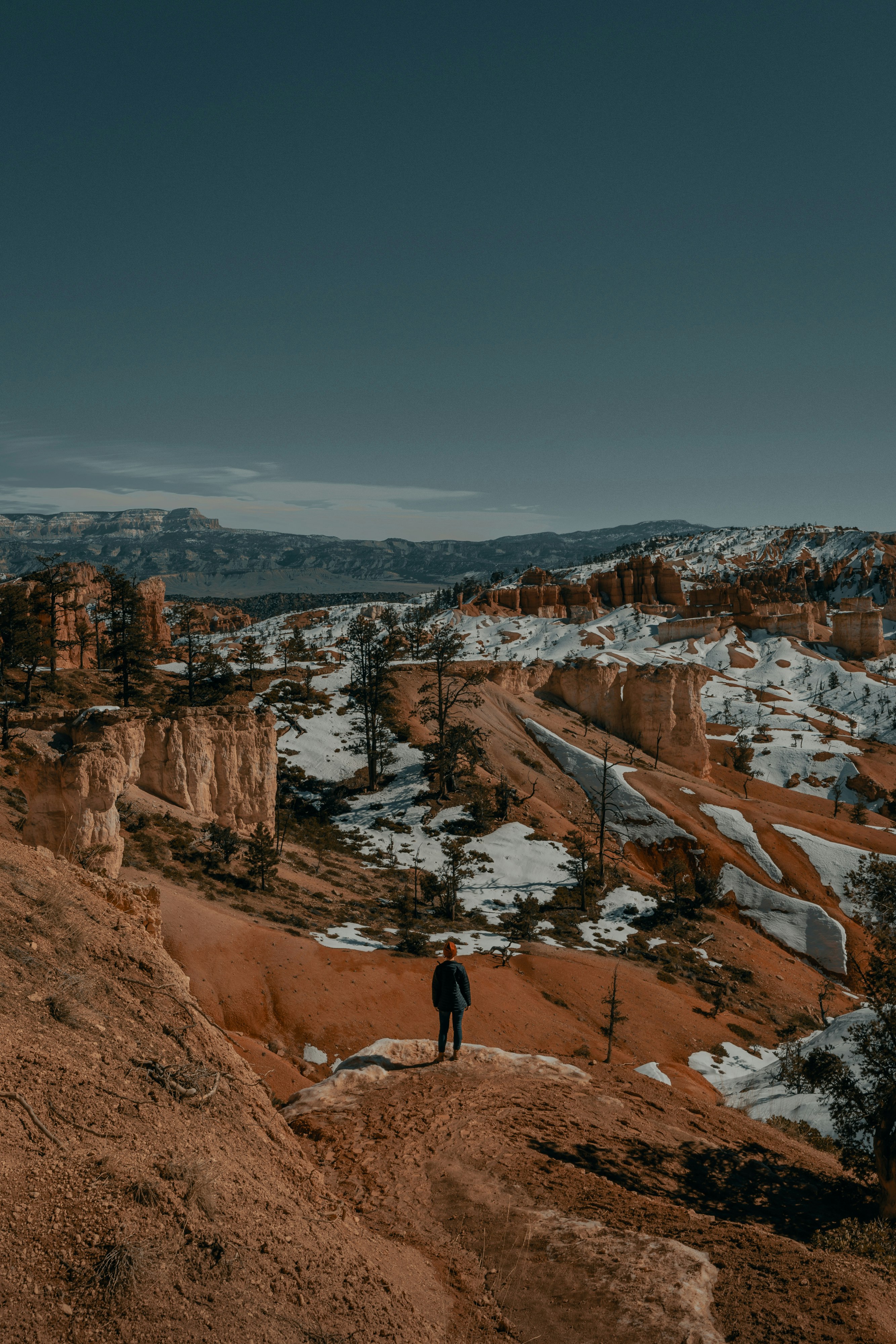 person standing on brown rock formation during daytime